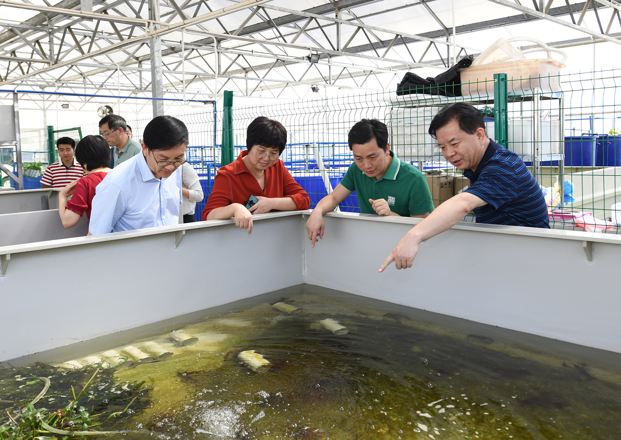 王玲一行调研水产学院教学科研基地，查看小龙虾养殖情况（记者 刘涛 摄）